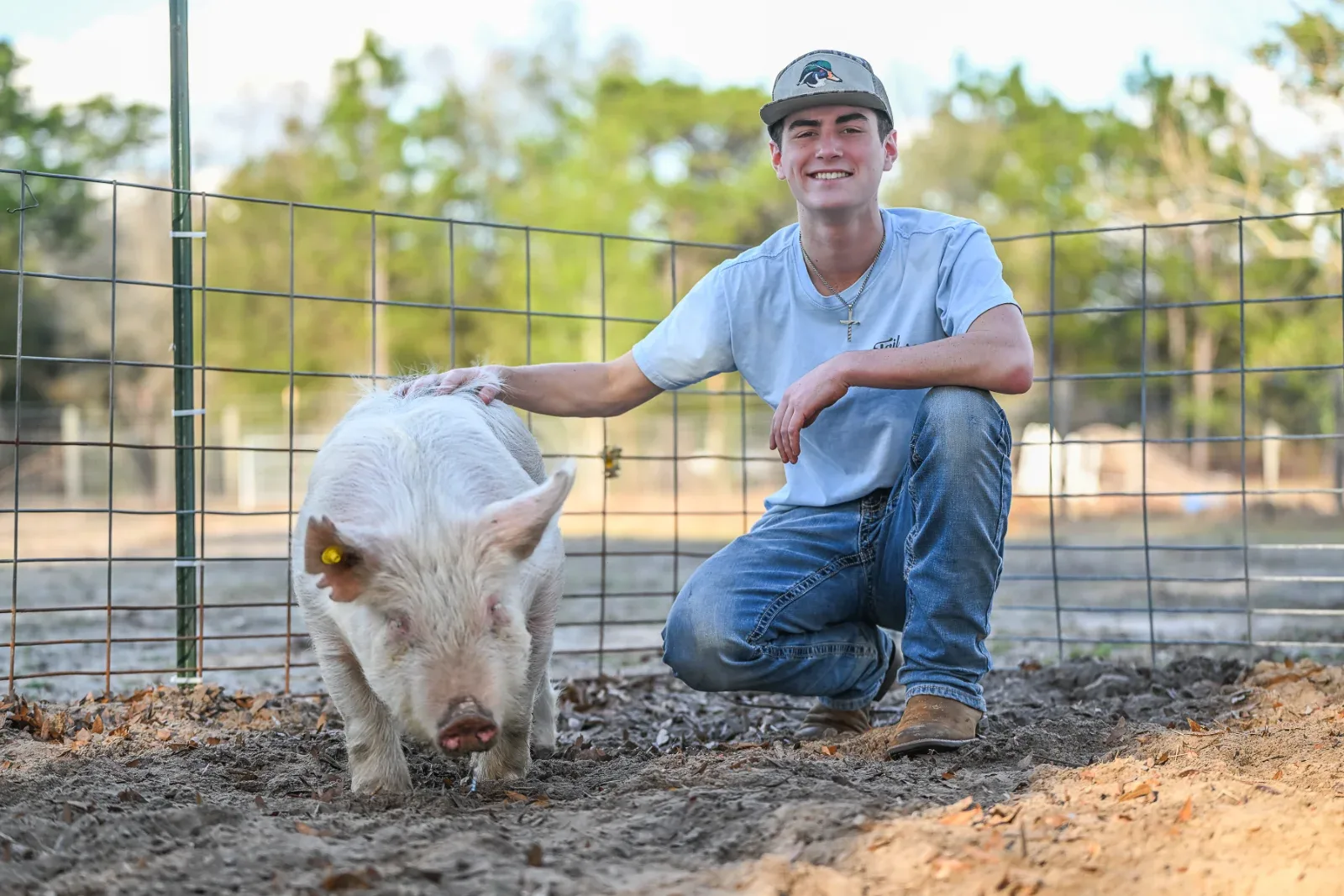 A young man in a cap and jeans kneels next to a white pig in a fenced enclosure.