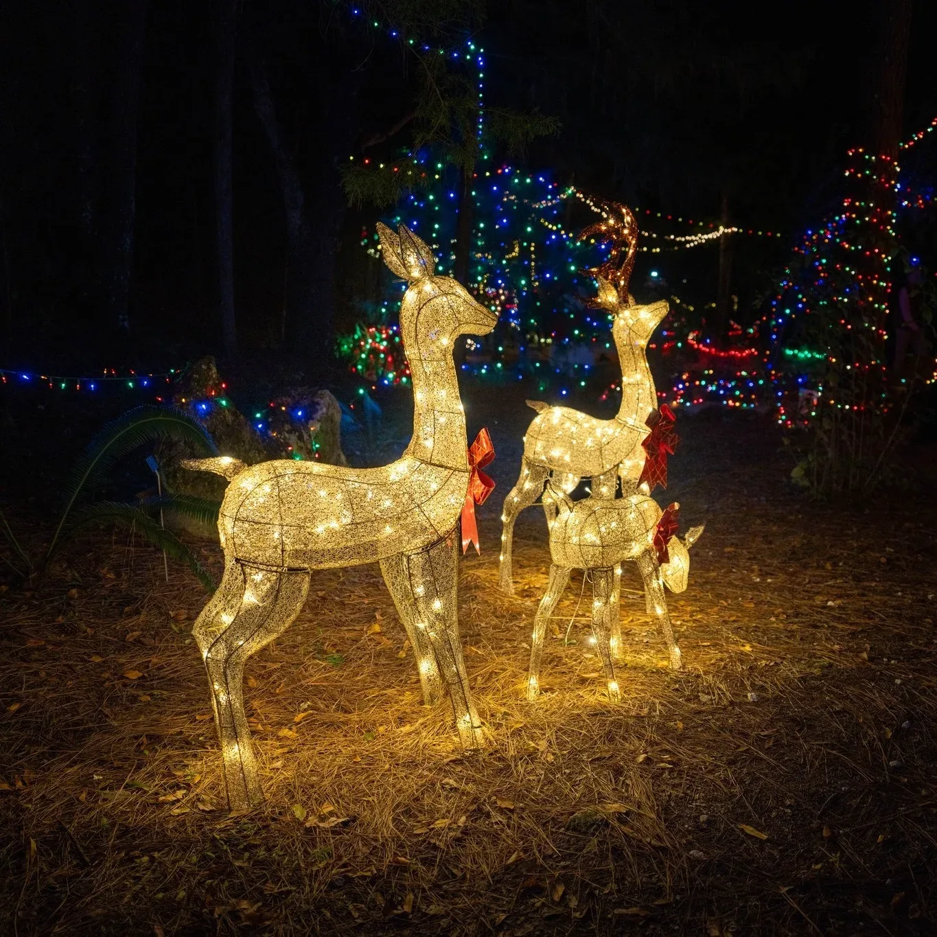 Three deer-shaped light displays with red bows stand on pine needles, with colorful lights in the background.