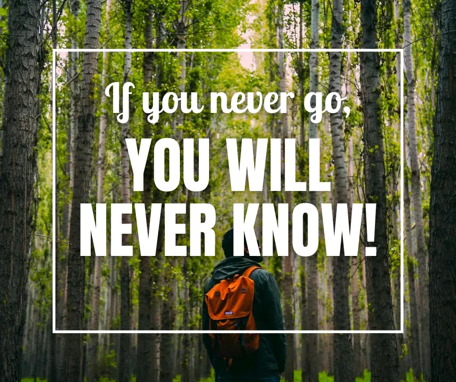 TRAVEL If you never go.webp
